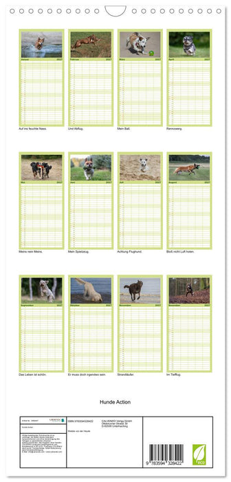 Hunde Action (CALVENDO Familienplaner 2027)