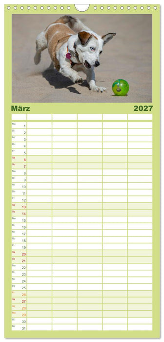 Hunde Action (CALVENDO Familienplaner 2027)