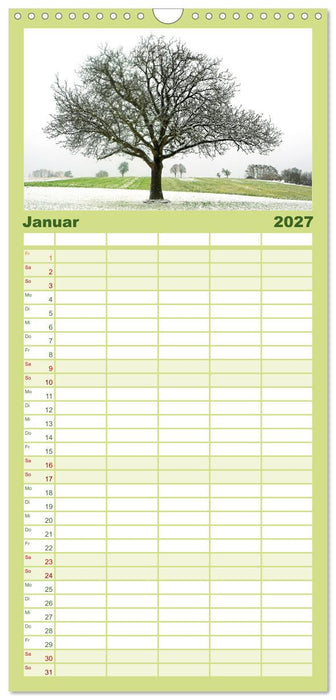 Ein Nussbaum von Januar bis Dezember (CALVENDO Familienplaner 2027)