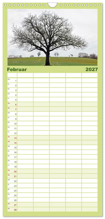 Ein Nussbaum von Januar bis Dezember (CALVENDO Familienplaner 2027)