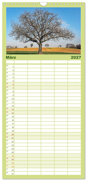 Ein Nussbaum von Januar bis Dezember (CALVENDO Familienplaner 2027)