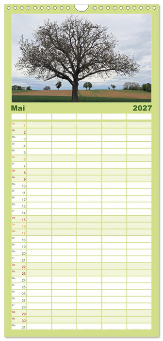 Ein Nussbaum von Januar bis Dezember (CALVENDO Familienplaner 2027)