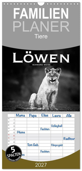 Löwen schwarz weiß (CALVENDO Familienplaner 2027)