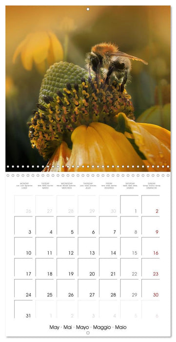 little heroes of nature (CALVENDO Monthly Calendar 2027)