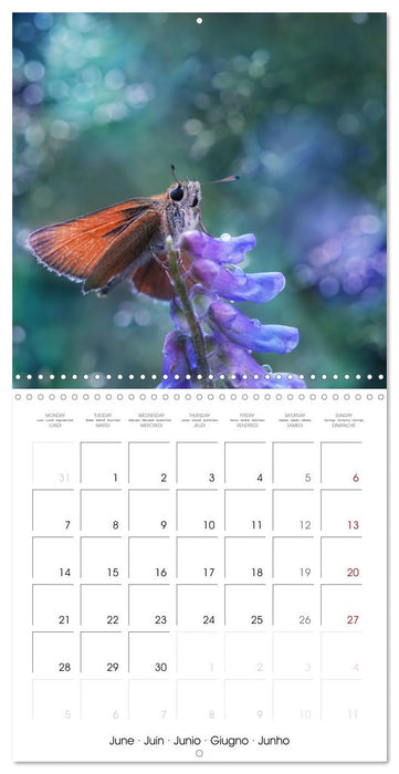 little heroes of nature (CALVENDO Monthly Calendar 2027)