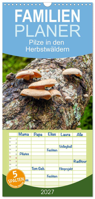 Pilze in den Herbstwäldern (CALVENDO Familienplaner 2027)