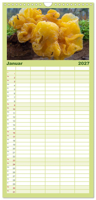 Pilze in den Herbstwäldern (CALVENDO Familienplaner 2027)