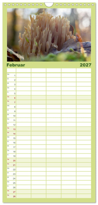 Pilze in den Herbstwäldern (CALVENDO Familienplaner 2027)