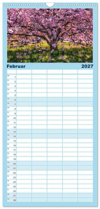 Bäume, der Atem der Natur (CALVENDO Familienplaner 2027)