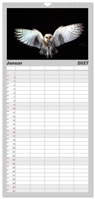 Vögel, Gefiederte Schönheiten (CALVENDO Familienplaner 2027)