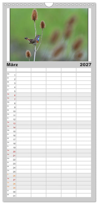 Vögel, Gefiederte Schönheiten (CALVENDO Familienplaner 2027)