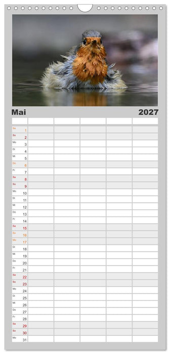 Vögel, Gefiederte Schönheiten (CALVENDO Familienplaner 2027)