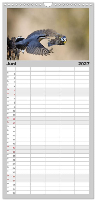 Vögel, Gefiederte Schönheiten (CALVENDO Familienplaner 2027)