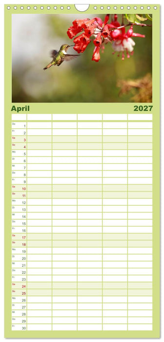 Zauberhafte Kolibris in Costa Rica (CALVENDO Familienplaner 2027)