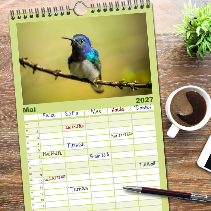 Zauberhafte Kolibris in Costa Rica (CALVENDO Familienplaner 2027)