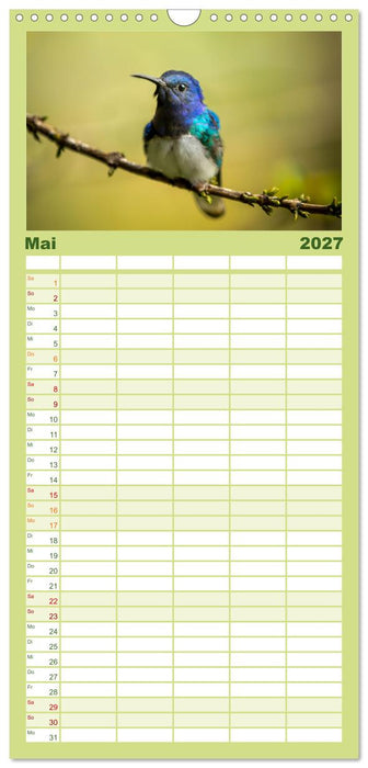 Zauberhafte Kolibris in Costa Rica (CALVENDO Familienplaner 2027)
