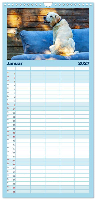 Witzige Fellnasen (CALVENDO Familienplaner 2027)