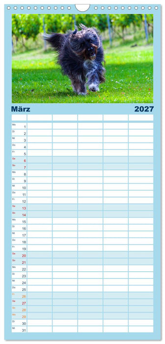 Witzige Fellnasen (CALVENDO Familienplaner 2027)