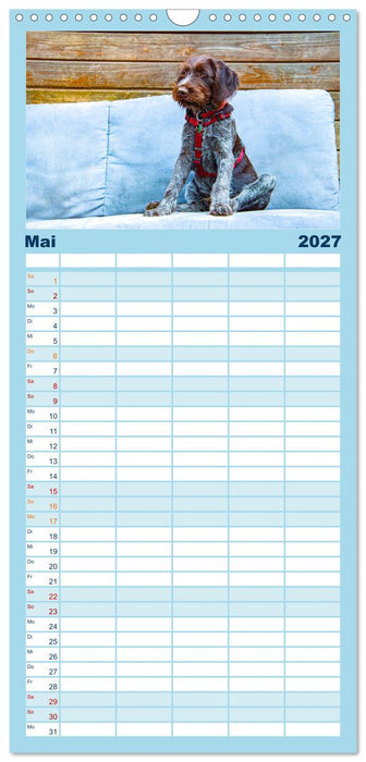 Witzige Fellnasen (CALVENDO Familienplaner 2027)