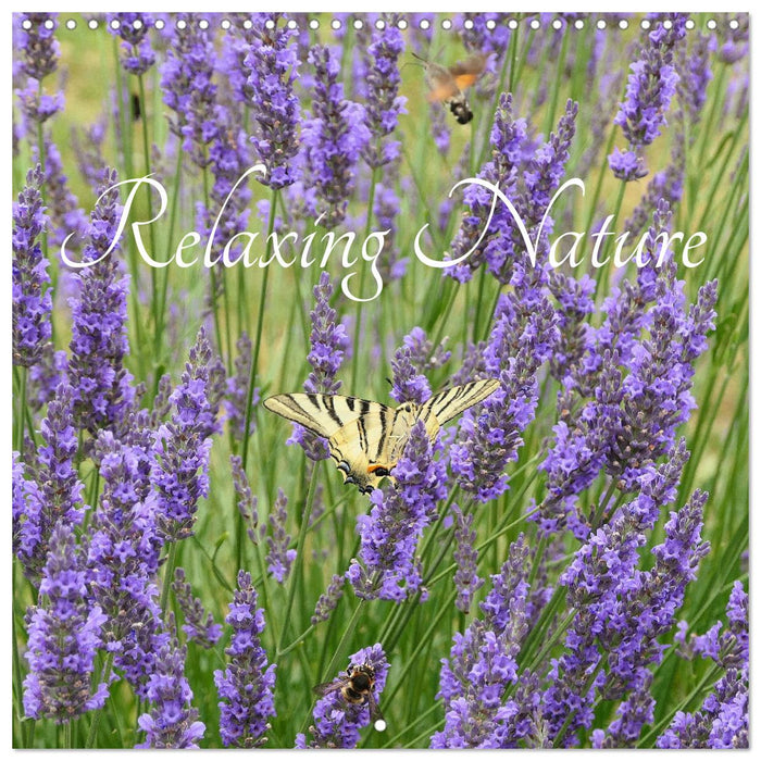 Relaxing Nature (CALVENDO Monthly Calendar 2027)