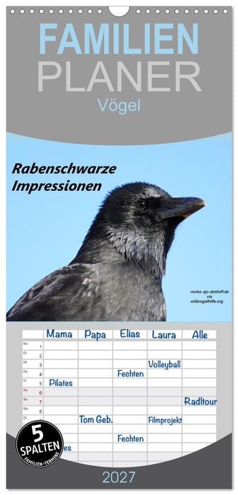 Rabenschwarze Impressionen - Meike Ajo Dettlaff via Wildvogelhlfe (CALVENDO Familienplaner 2027)