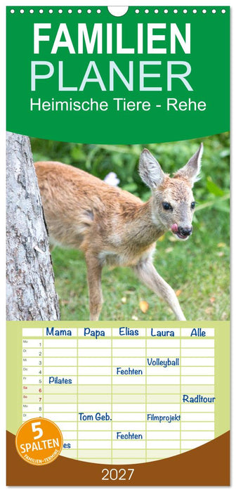 Heimische Tiere - Rehe (CALVENDO Familienplaner 2027)