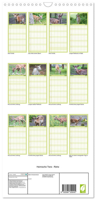 Heimische Tiere - Rehe (CALVENDO Familienplaner 2027)