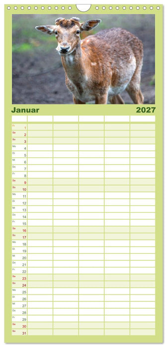Heimische Tiere - Rehe (CALVENDO Familienplaner 2027)