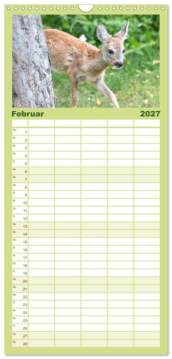 Heimische Tiere - Rehe (CALVENDO Familienplaner 2027)