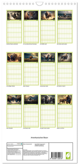 Amerikanischer Bison (CALVENDO Familienplaner 2027)