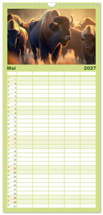 Amerikanischer Bison (CALVENDO Familienplaner 2027)