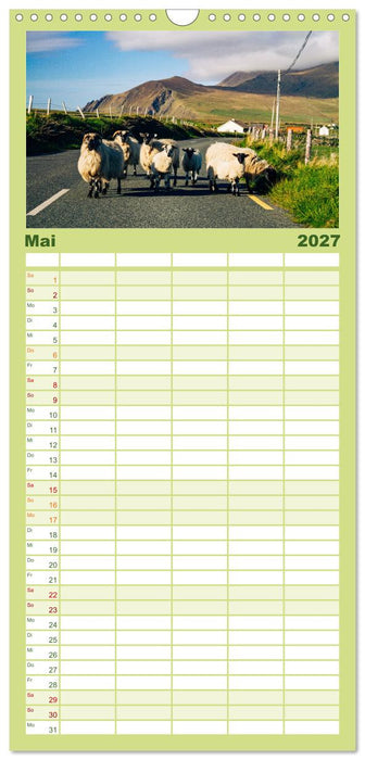 Wir sehen uns in Irland - Ring of Beara und Ring of Kerry (CALVENDO Familienplaner 2027)
