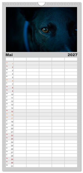 AugenZeugen (CALVENDO Familienplaner 2027)