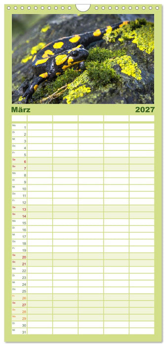 Naturschönheiten im Biosphärerenreservat Rhön (CALVENDO Familienplaner 2027)