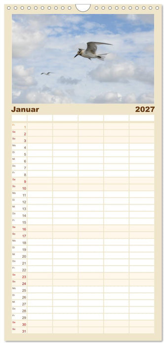 Möwen am Meer (CALVENDO Familienplaner 2027)