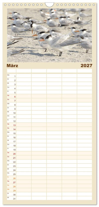 Möwen am Meer (CALVENDO Familienplaner 2027)