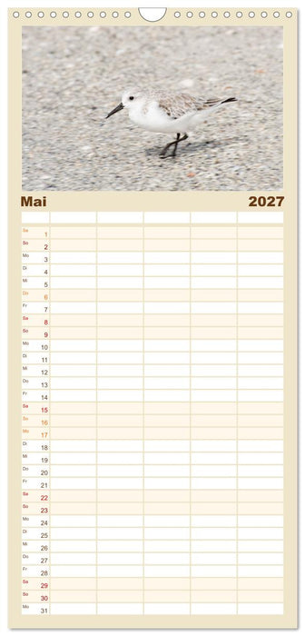 Möwen am Meer (CALVENDO Familienplaner 2027)