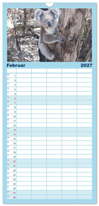 7 Kontinente - Weltweit durch das Jahr (CALVENDO Familienplaner 2027)