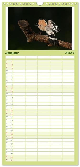 Der Wiedehopf (CALVENDO Familienplaner 2027)