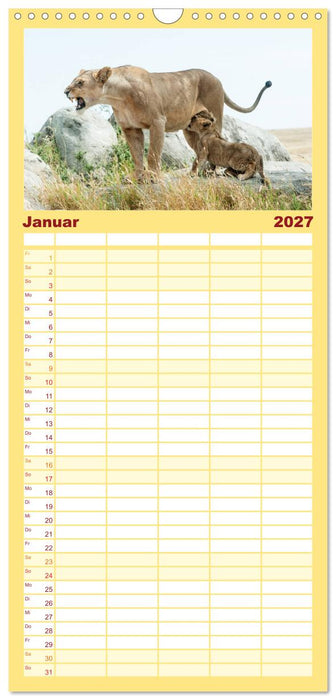 Die Magie der Könige der Tiere (CALVENDO Familienplaner 2027)