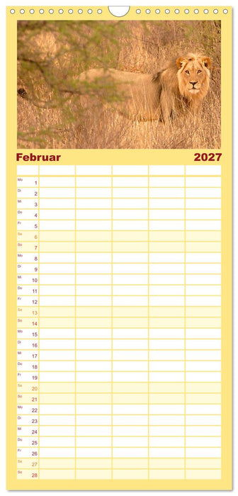 Die Magie der Könige der Tiere (CALVENDO Familienplaner 2027)