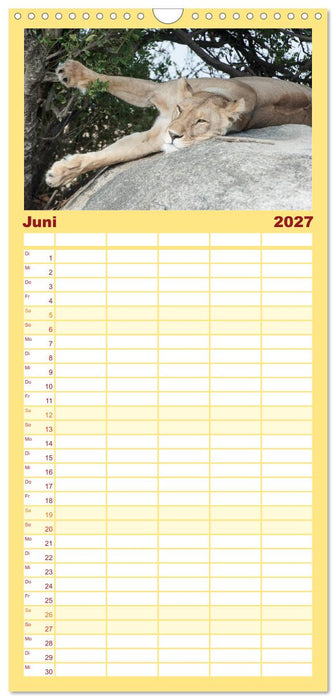Die Magie der Könige der Tiere (CALVENDO Familienplaner 2027)