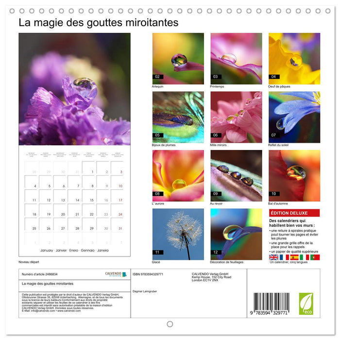 La magie des gouttes miroitantes (CALVENDO Calendrier mensuel 2027)