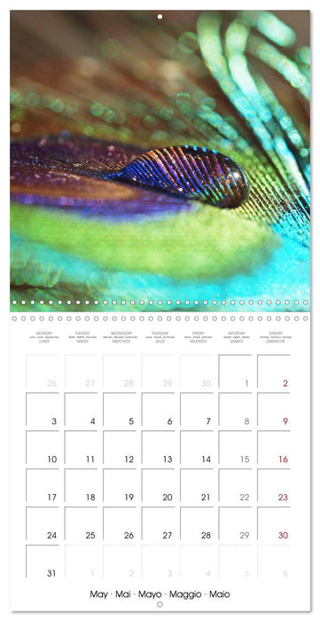 La magie des gouttes miroitantes (CALVENDO Calendrier mensuel 2027)