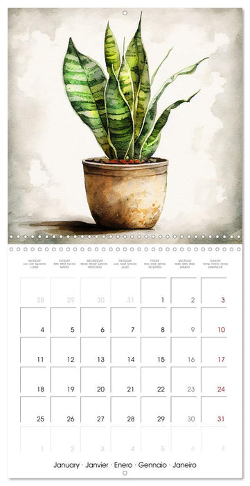 The Art of House Plants (CALVENDO Monthly Calendar 2027)