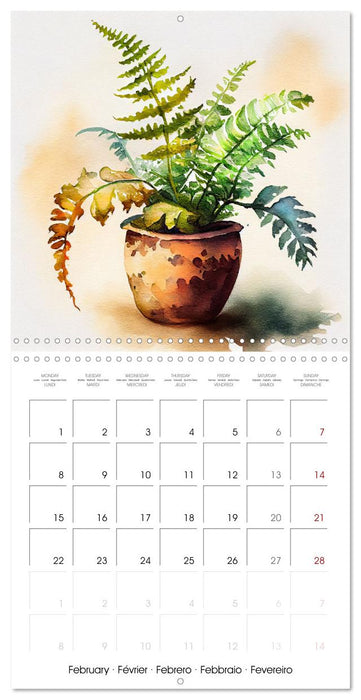 The Art of House Plants (CALVENDO Monthly Calendar 2027)