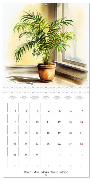 The Art of House Plants (CALVENDO Monthly Calendar 2027)
