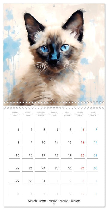 Illustrations Chatons (CALVENDO Calendrier mensuel 2027)
