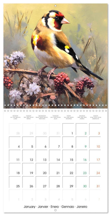 Ailes en scène (CALVENDO Calendrier mensuel 2027)