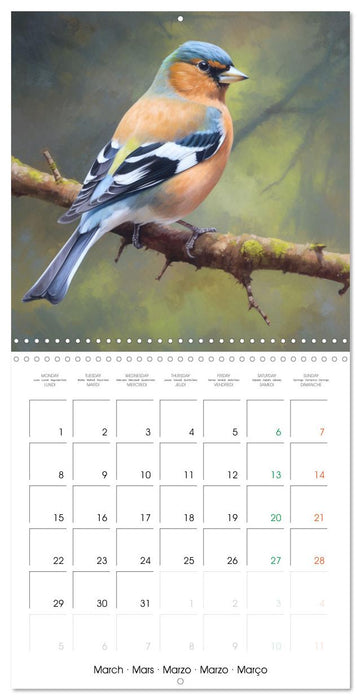 Ailes en scène (CALVENDO Calendrier mensuel 2027)